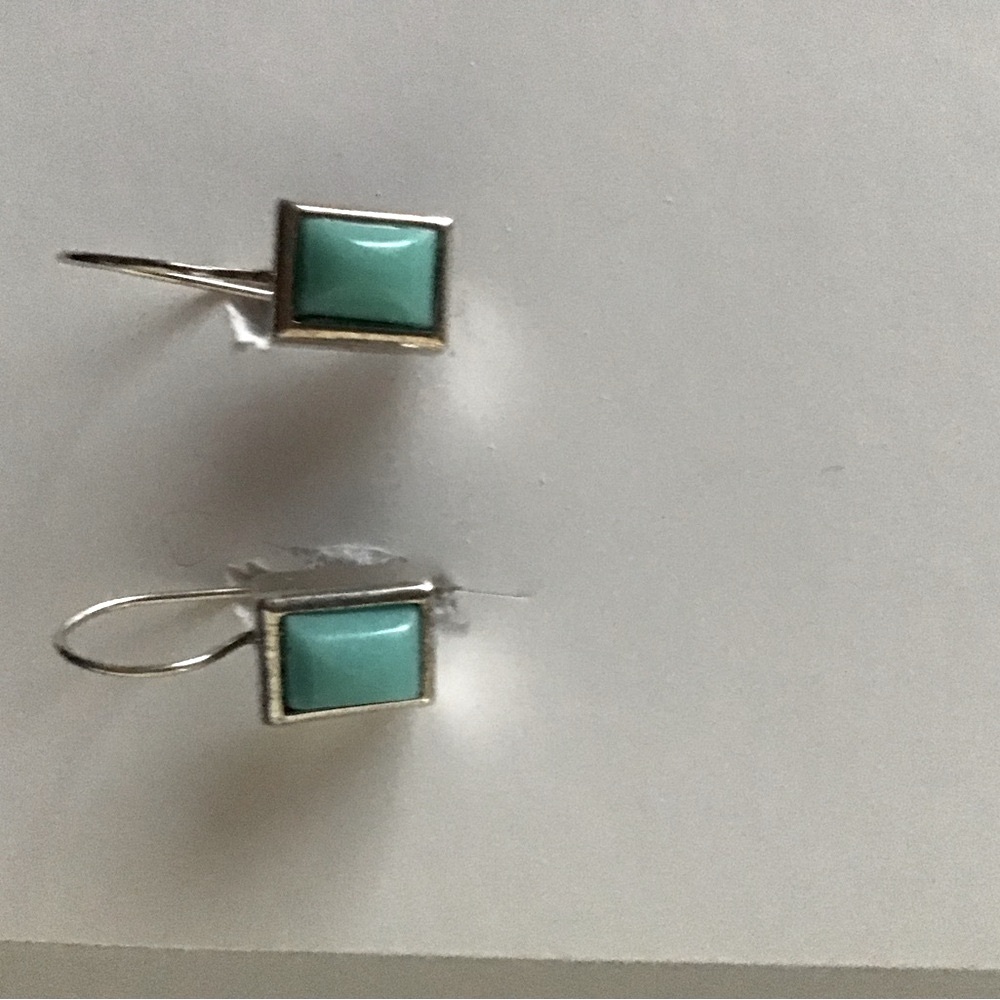 Silver and Turquoise Earrings